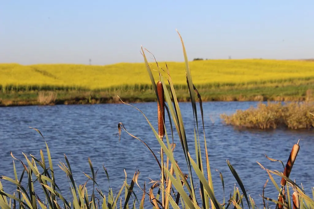 Agro&Domki Nad Stawem Żukowo Gospodarstwo agroturystyczne