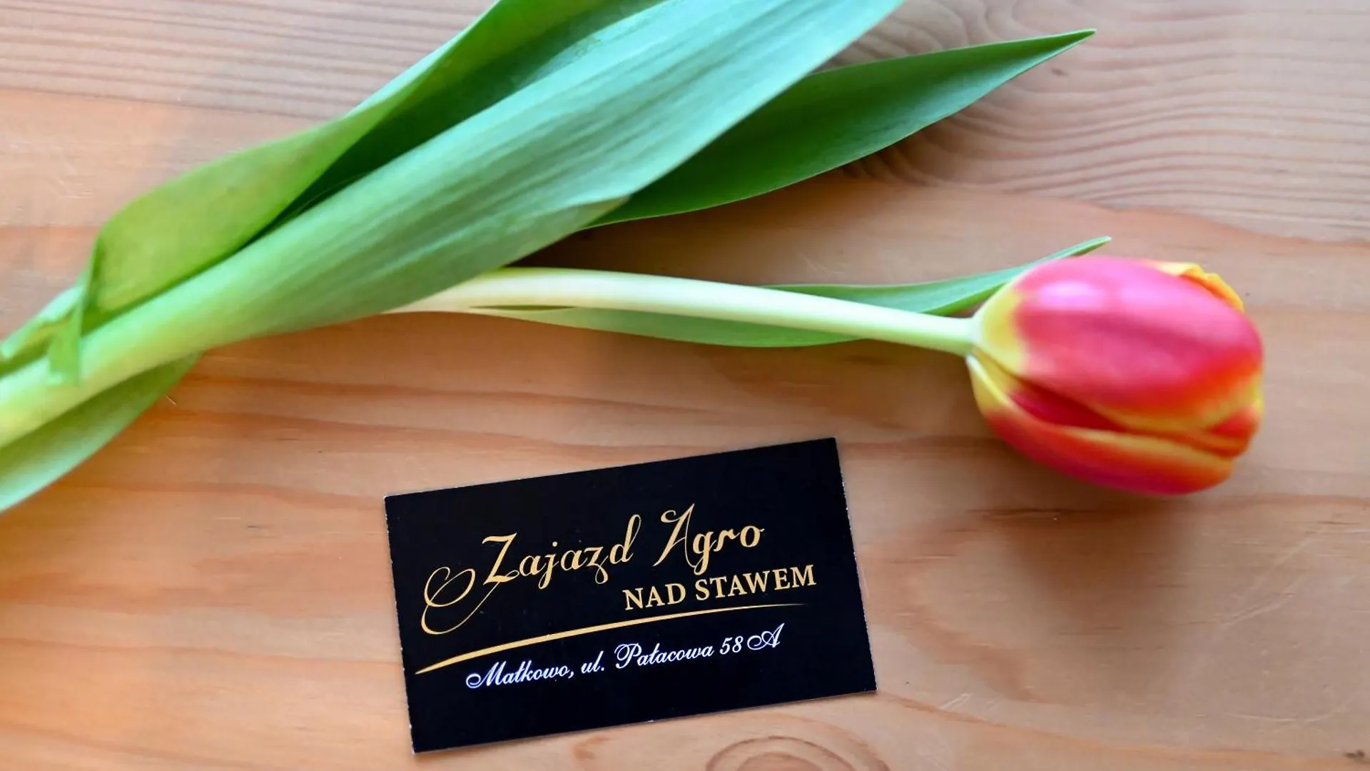 Agro&Domki Nad Stawem Żukowo Gospodarstwo agroturystyczne